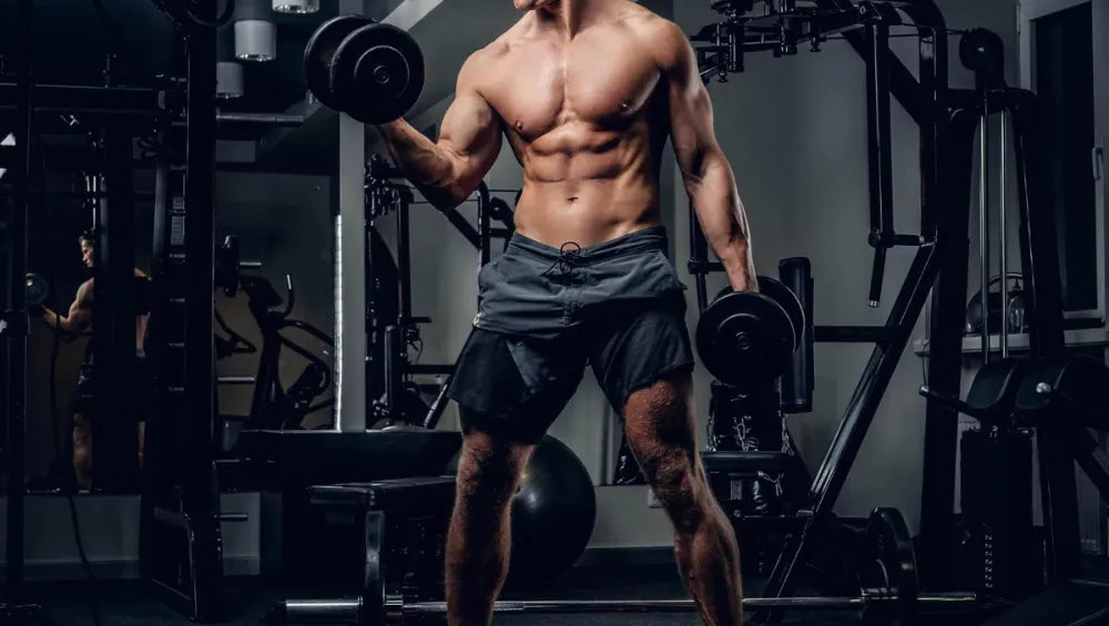 portrait complet du corps homme torse nu athlétique faisant un exercices biceps haltères dans club de gym