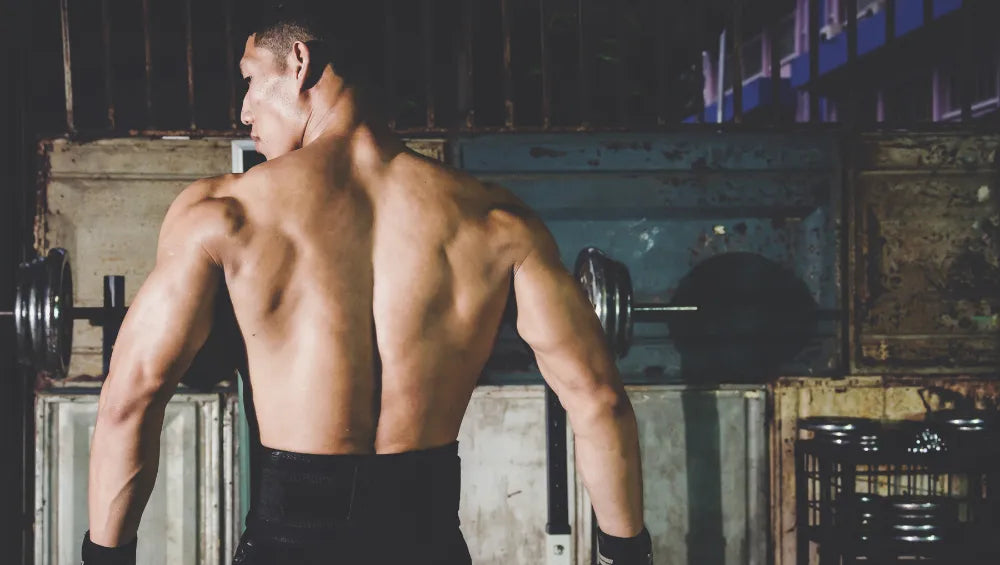 Homme sec et musclé de dos dans une salle de sport